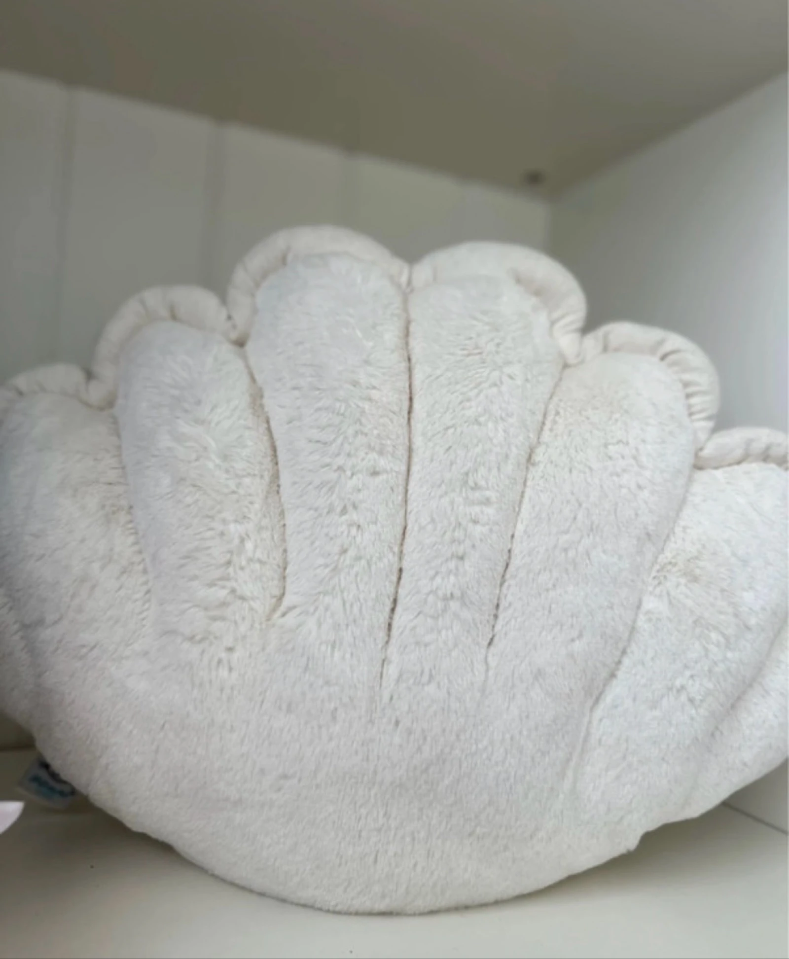 Peluche Chloe Clam de Jelly Cat – photo 4
